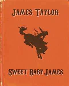 Sweet Baby James [Pop-up Book]
